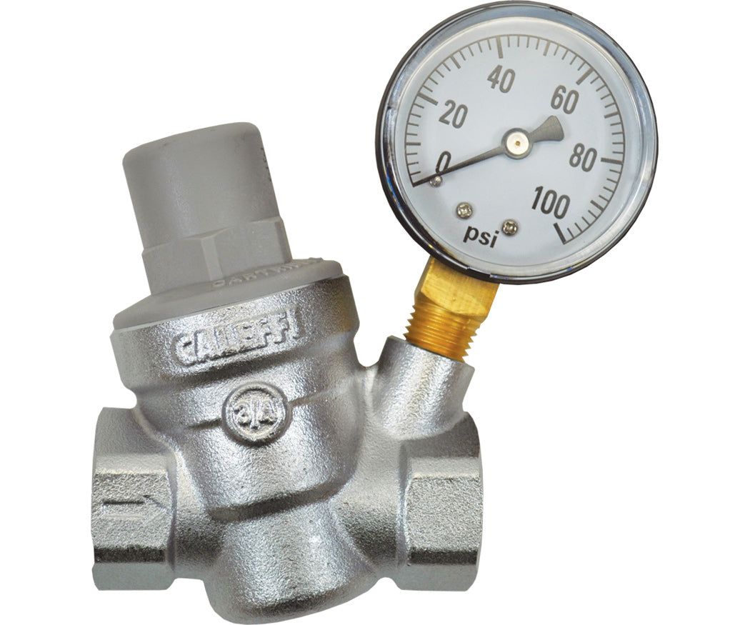 Dosatron Pressure Reg with Gauge - 3/4in (FPT x FPT)