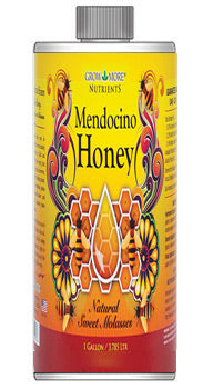 Mendocino Honey Qt
