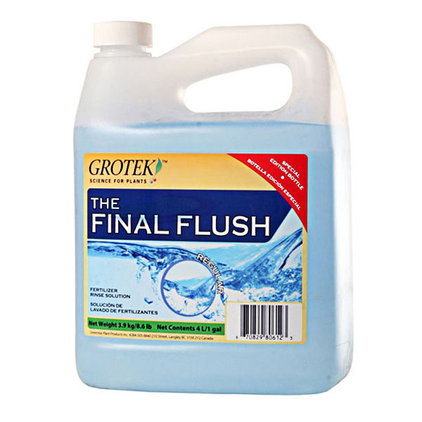 Final Flush Blueberry 4L