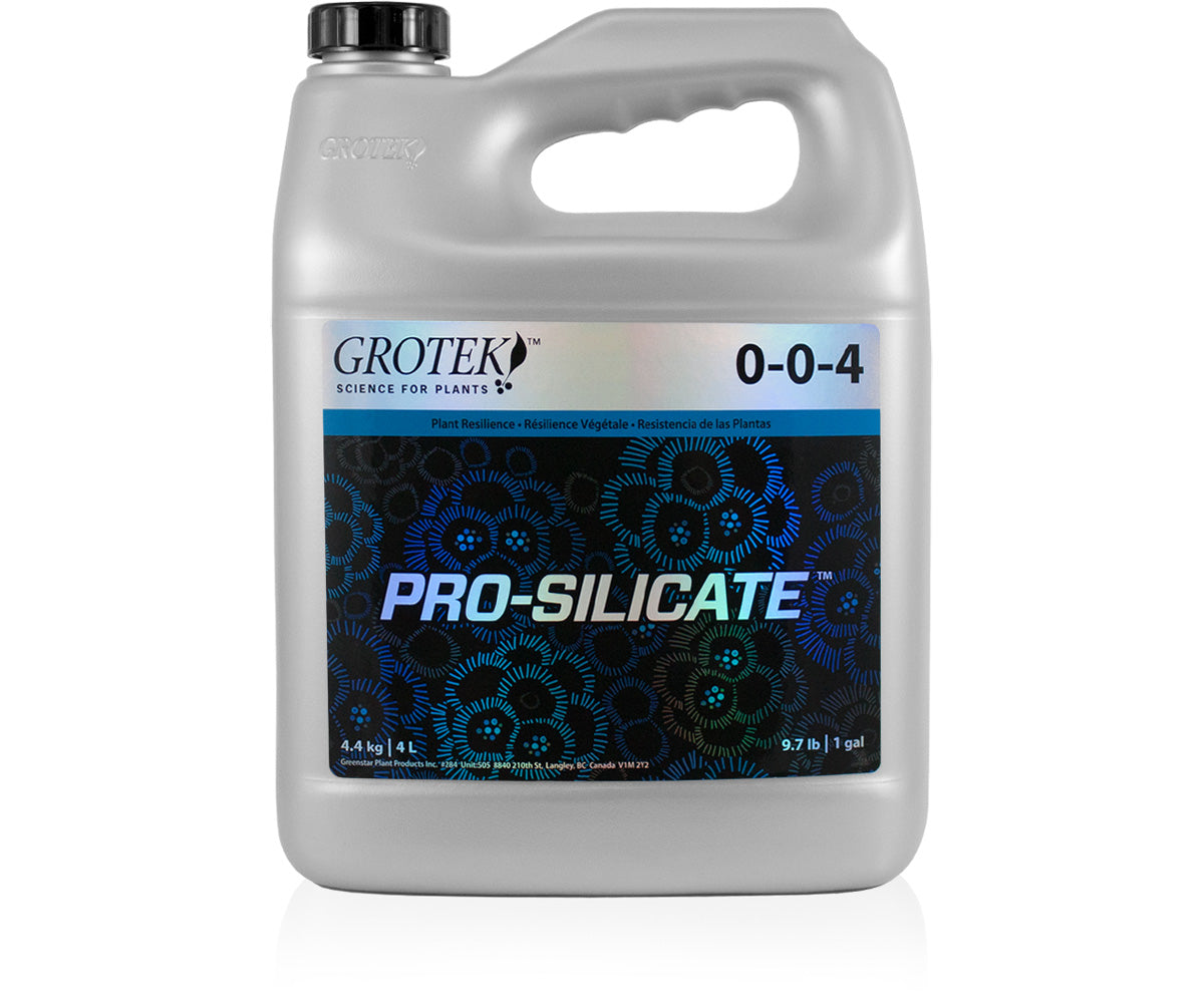 Pro Silicate 4L (4/cs)