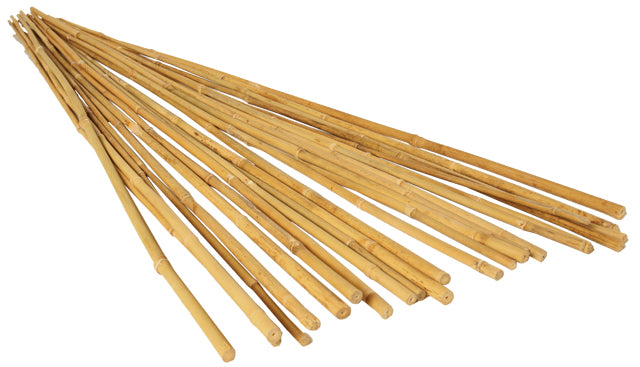 GROW!T 6' Bamboo Stakes, pack of 25