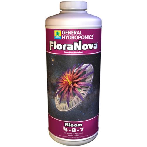 GH FloraNova Bloom Quart