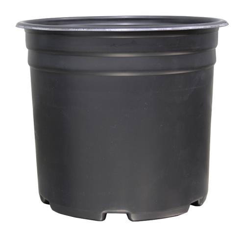 Thermoformed Nursery Pot 5 Gallon
