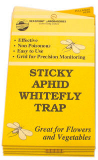 White Fly Traps