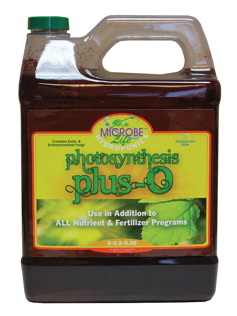 Photosynthesis Plus-O gal OR Only