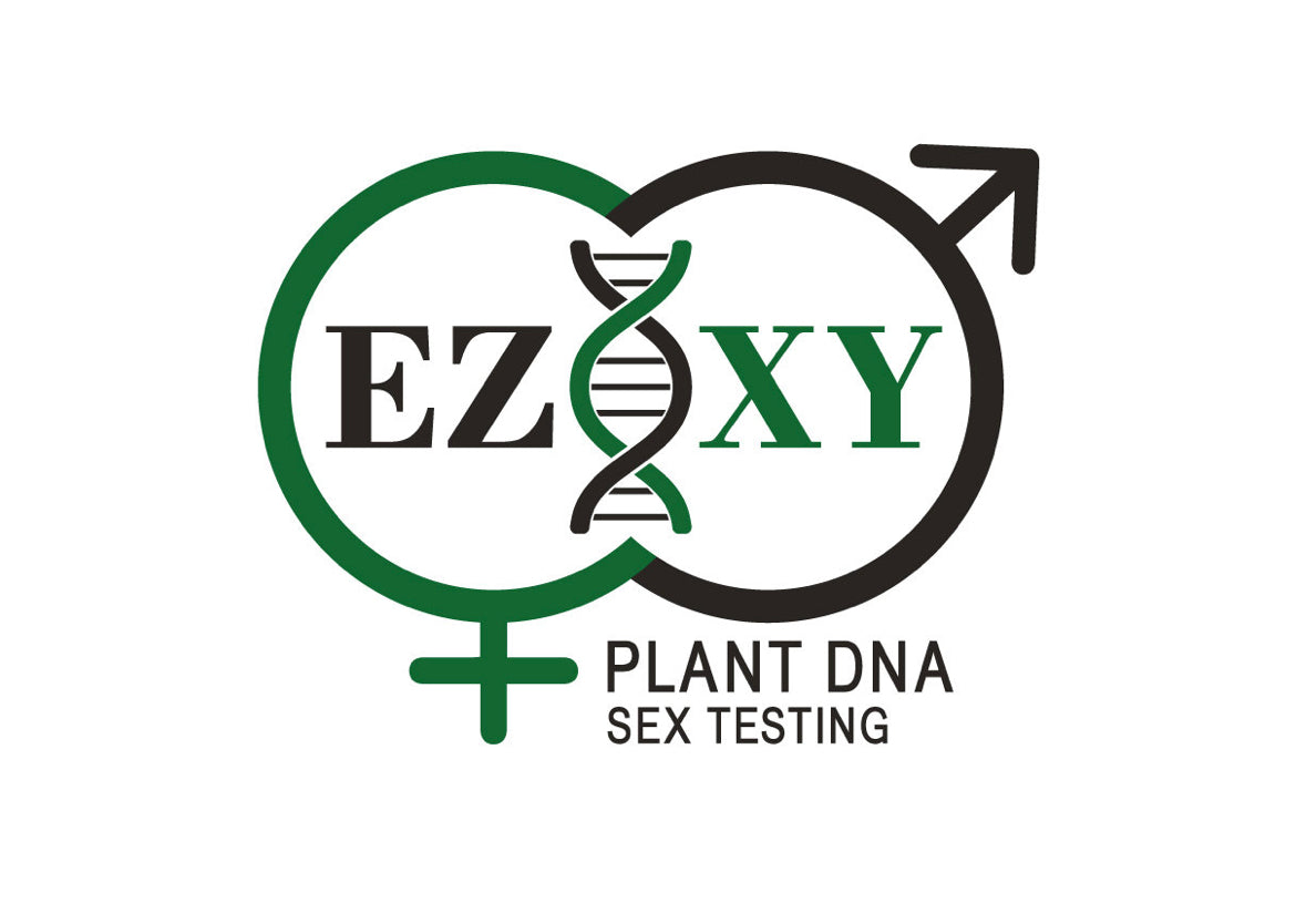 Farmer Freeman EZ-XY Plant DNA Sex Testing(5 pack)