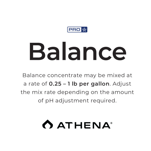 Pro Balance, 10 lbs - Athena