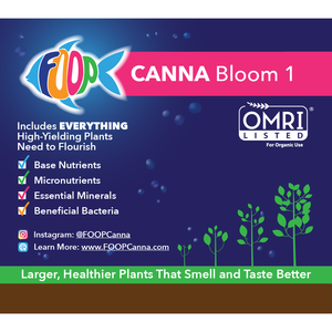 FOOP Canna Bloom 1